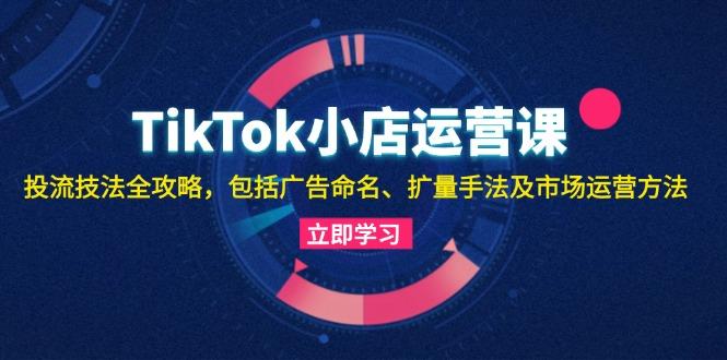 TikTok小店运营课：投流技法全攻略，包括广告命名 扩量手法及市场运营方法-航海圈