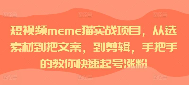 短视频meme猫实战项目，从选素材到把文案，到剪辑，手把手的教你快速起号涨粉-航海圈