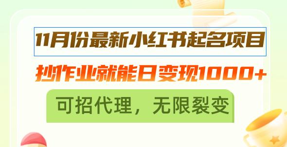 11月份最新小红书起名项目，抄作业就能日变现1000+，可招代理，无限裂变-航海圈