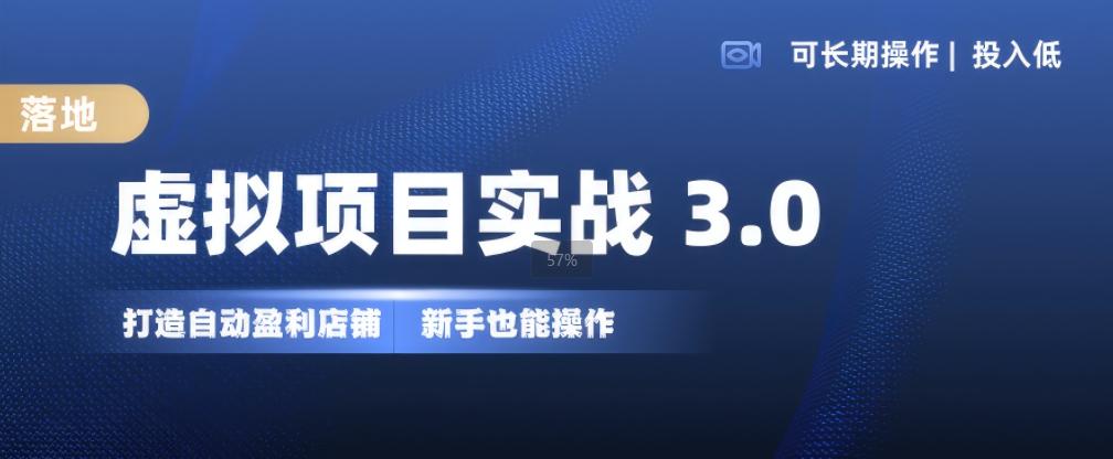 虚拟项目实战3.0，打造自动盈利店铺，可长期操作投入低，新手也能操作-航海圈