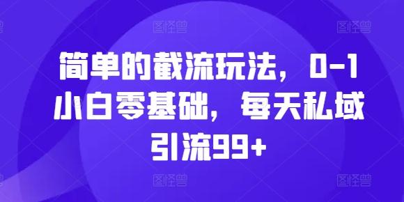 简单的截流玩法，0-1小白零基础，每天私域引流99+-航海圈