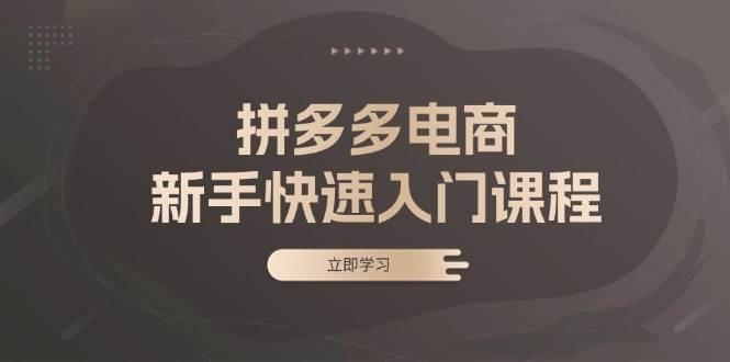 拼多多电商新手快速入门课程：涵盖基础、实战与选款，助力小白轻松上手-航海圈