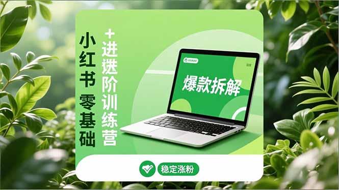 小红书零基础+高阶训练营：安全养号、爆款拆解、长效运营，实现稳定涨粉与变现-航海圈