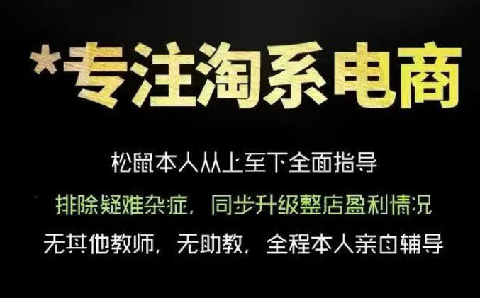 松鼠会电商VIP课程，从基础布局到高阶优化，助你掌握淘宝运营逻辑，提升店铺流量与转化-航海圈