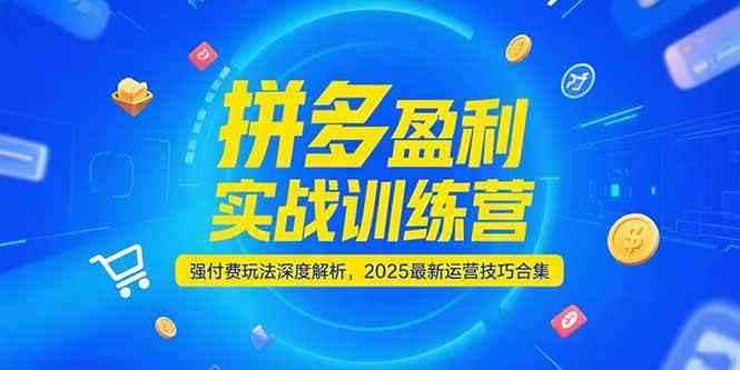 拼多多盈利实战训练营，强付费玩法深度解析，2025最新运营技巧合集-航海圈