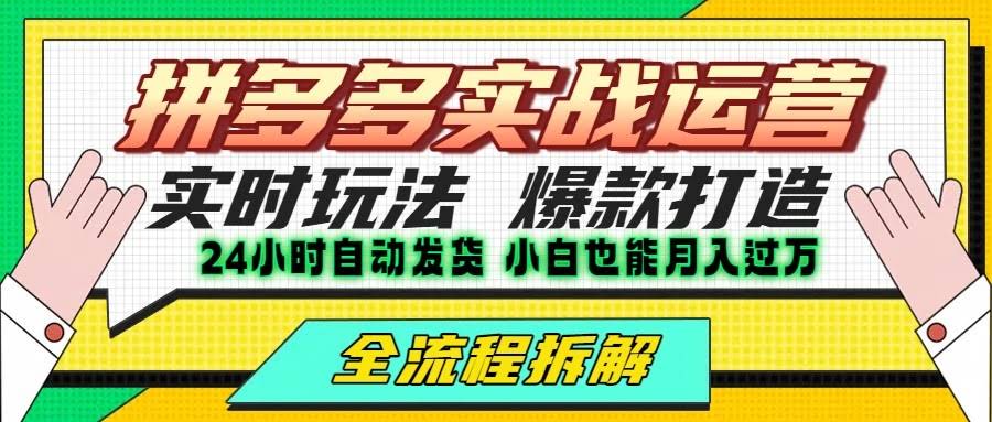 拼多多最新实战运营高投产：长久稳定项目，单店利润一天三位数-航海圈