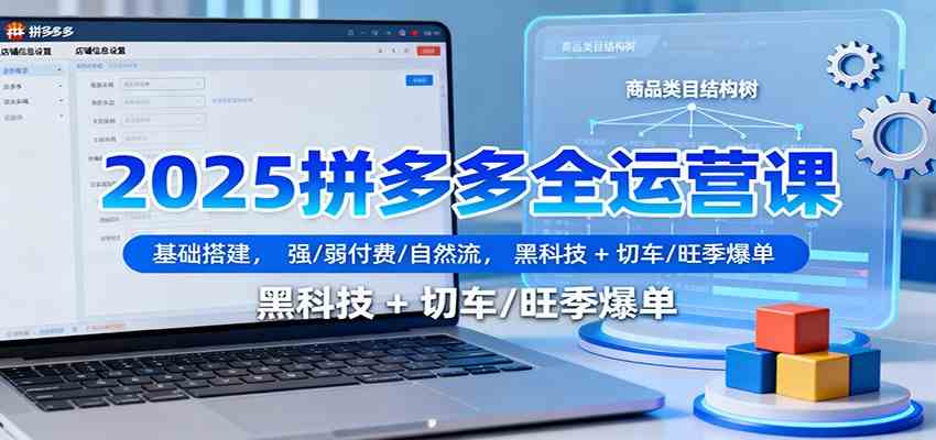 2025拼多多全运营课：基础搭建，强/弱付费/自然流，黑科技 + 切车/旺季爆单-航海圈