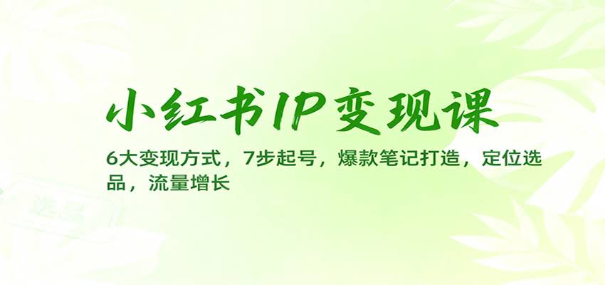 小红书IP变现课：6大变现方式，7步起号，爆款笔记打造，定位选品，流量增长-航海圈