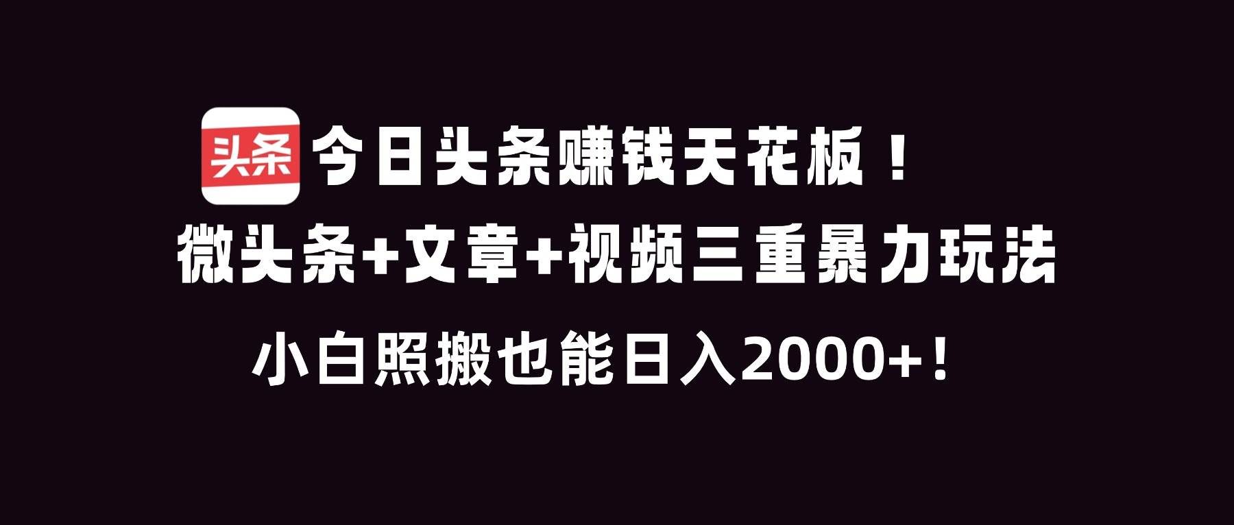 (16888期)今日头条赚钱天花板!微头条+文章+视频三重暴利玩法,小白照搬也能日人2000+-航海圈