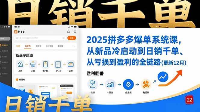 (16894期)2025拼多多爆单系统课,从新品冷启动到日销千单、从亏损到盈利的全链路(更新12月)-航海圈