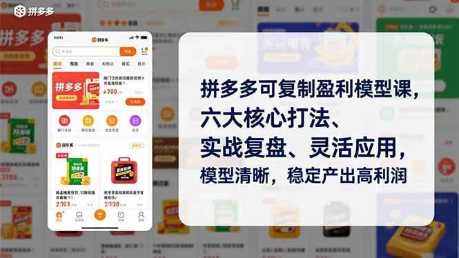 (16952期)拼多多可复制盈利模型课,六大核心打法、实战复盘、灵活应用,模型清晰,稳定产出高利润-航海圈