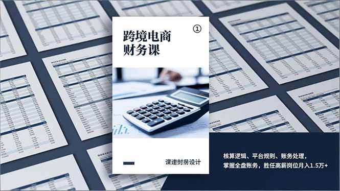 (17036期)跨境电商财务课,核算逻辑、平台规则、账务处理,掌握全盘账务,胜任高薪岗位月入1.5万+-航海圈