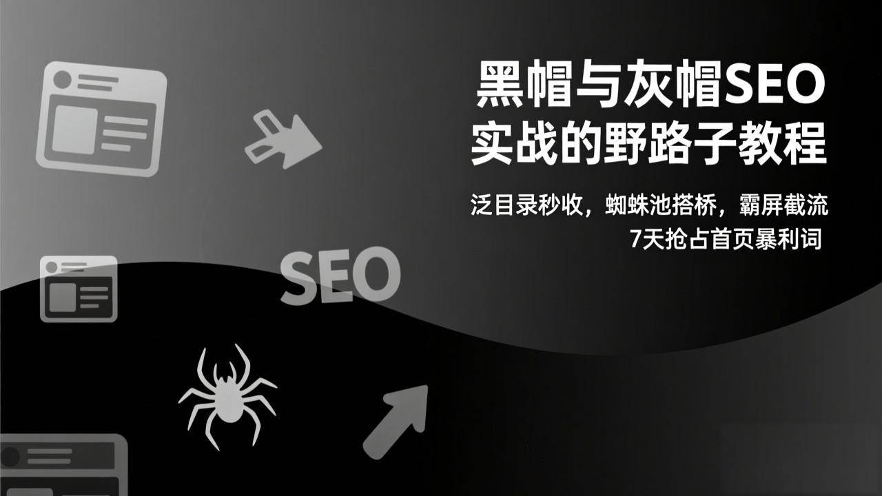 (17125期)黑帽与灰帽SEO实战的野路子教程:泛目录秒收,蜘蛛池搭桥,霸屏截流,7天抢占首页暴利词-航海圈