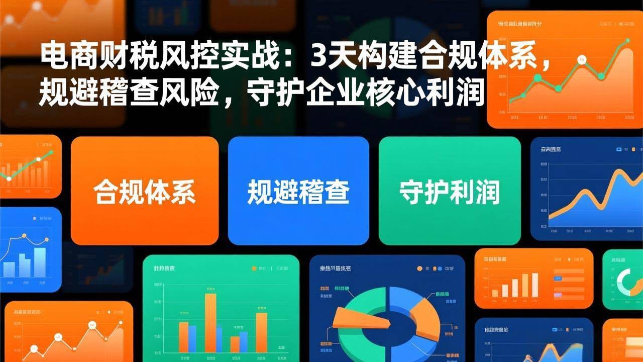 (17197期)电商财税风控实战:3天构建合规体系,规避稽查风险,守护企业核心利润-航海圈