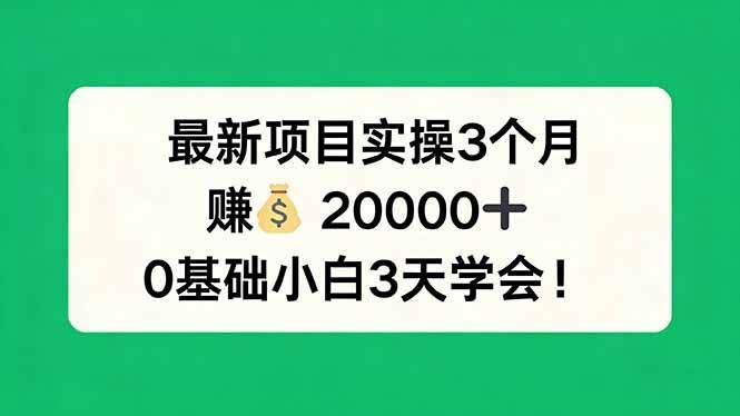 （17856期）最新项目实操3个月，赚钱20000+，0基础小白3天学会！-航海圈