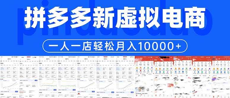 (17978期)拼多多虚拟电商一人一店轻松月入10000+-航海圈