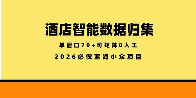 （18500期）酒店智能数据归集，小众蓝海已经稳定半年之久，单窗口70+零成本矩阵开干-航海圈