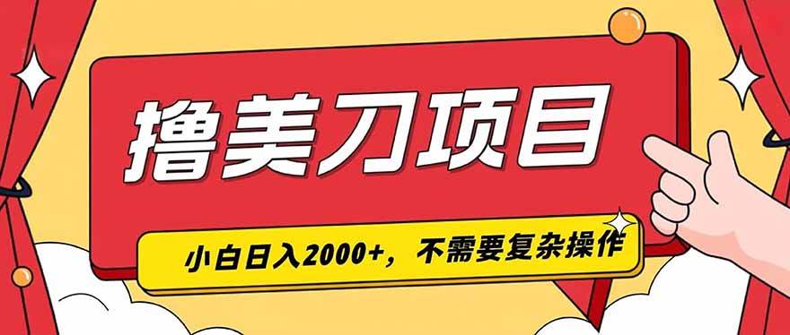 (19493期)撸美刀,单日收入2000+,小白可做-航海圈