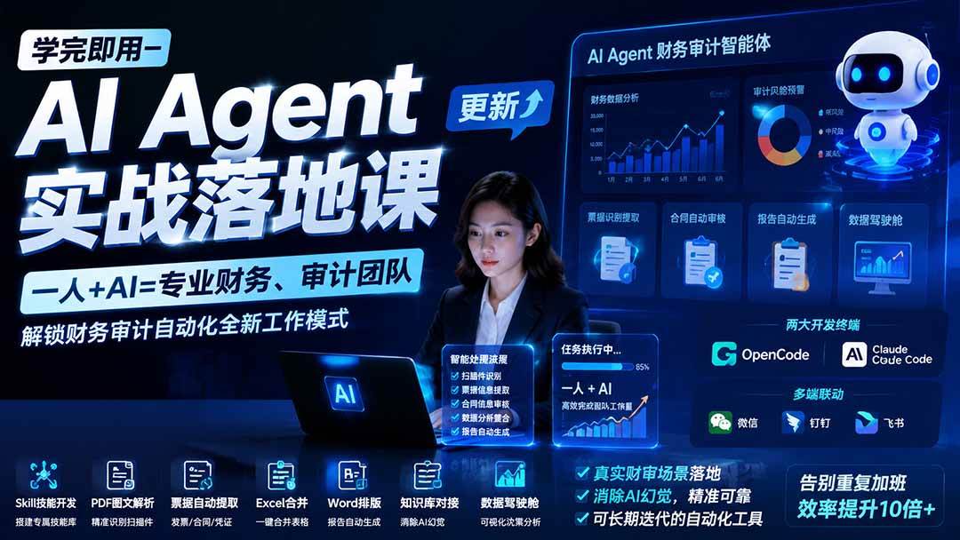 (19702期)学完即用—AI Agent实战落地课-更新:一人+AI=专业财务、审计团队,解锁财务审计自动化全新工作模式-航海圈